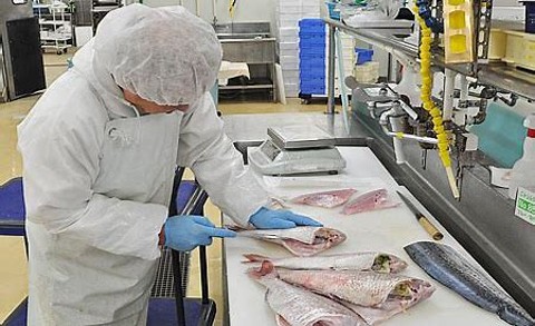 THÔNG BÁO ĐƠN HÀNG CHẾ BIẾN THỦY SẢN (NỮ)